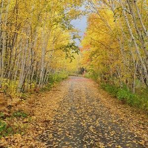 Meet your Posher, Lana